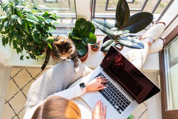 img=Pekerjaan Digital Marketing Remote yang Cocok WFH!.
