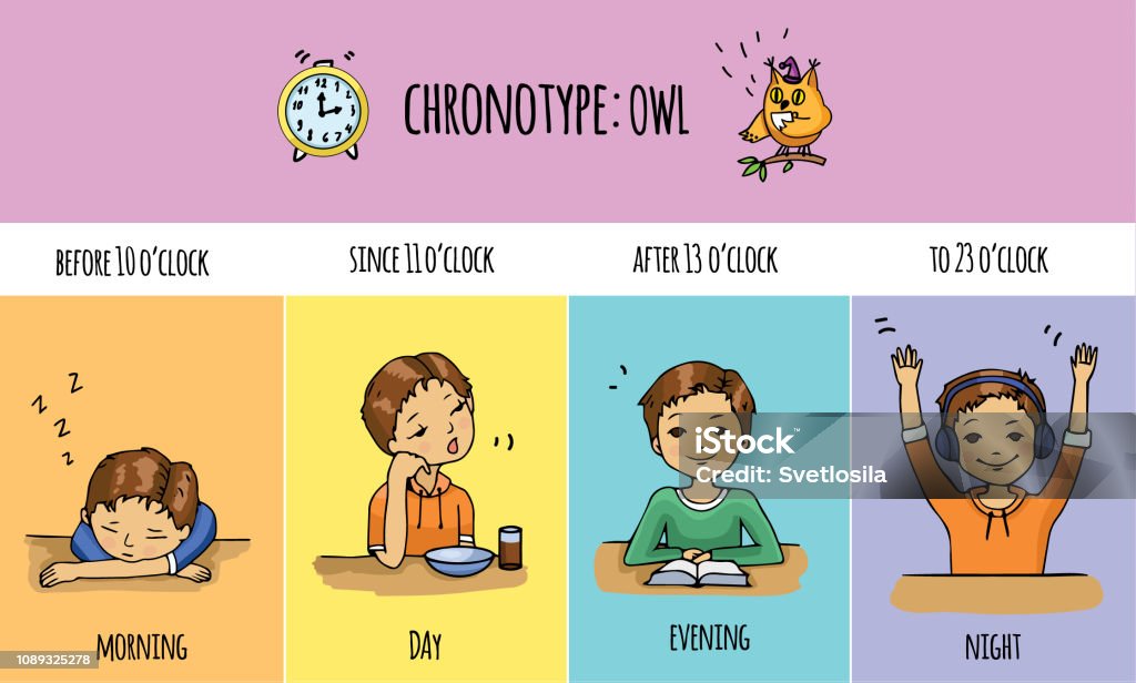 img+ "Apa Itu Chronotype: Rahasia Produktivitas Para Pekerja 9-5!"